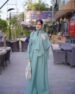 Elegant Green Georgette Full Abaya | 2 Pcs Set with Stoller |